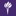 New York University